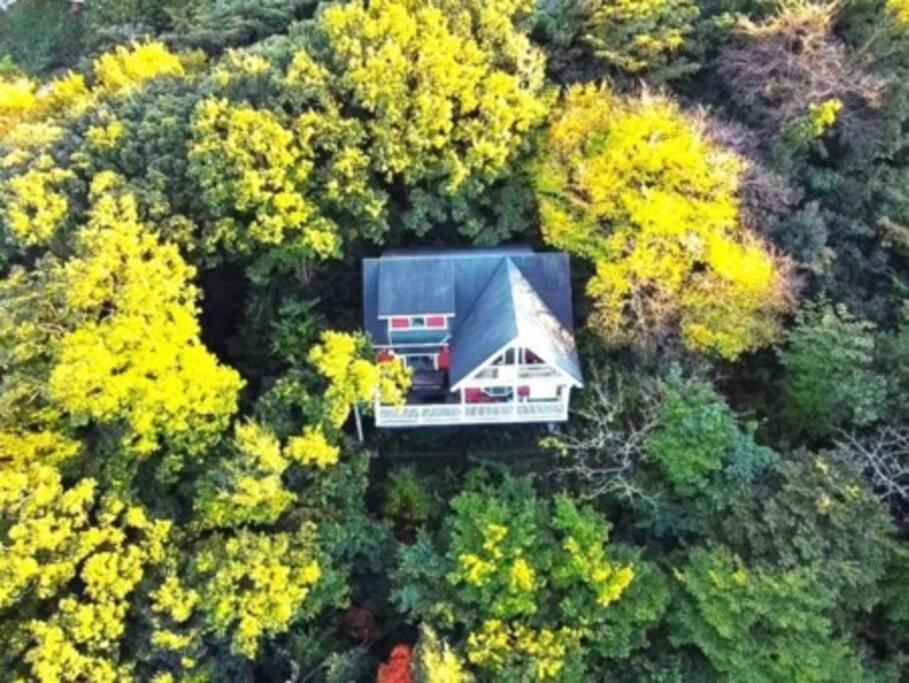 絶景大型ログハウス最大20人ハートウッド熱海邸 Atami (Shizuoka) Exterior foto